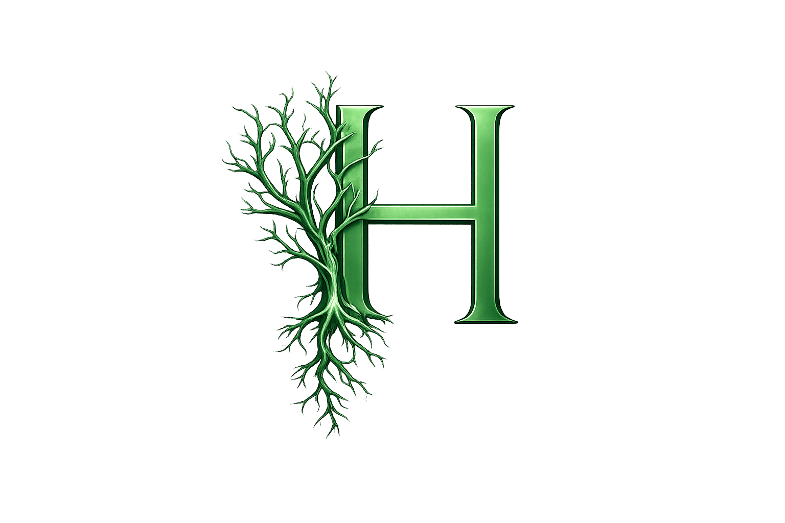 Hayzer